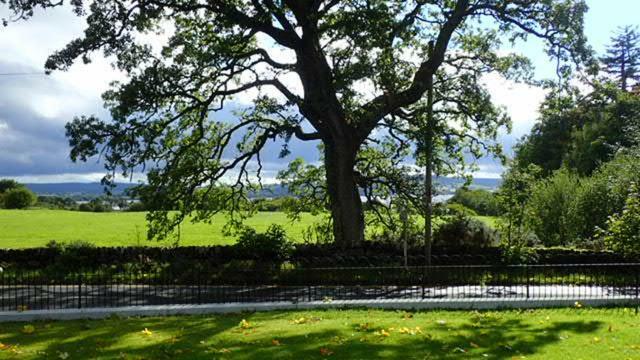 Arrochoile Bed & Breakfast Balmaha Exterior foto